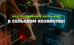 AI for agriculture from the HTP resident